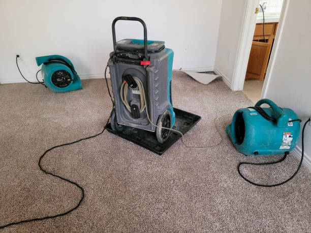 Best Flood restoration services  in Aiken, SC