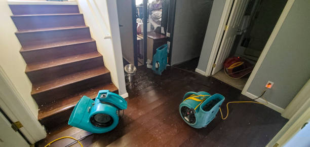 Best Local water damage restoration  in Aiken, SC