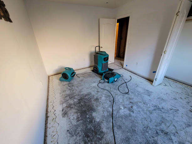 Best Ceiling water damage repair  in Aiken, SC
