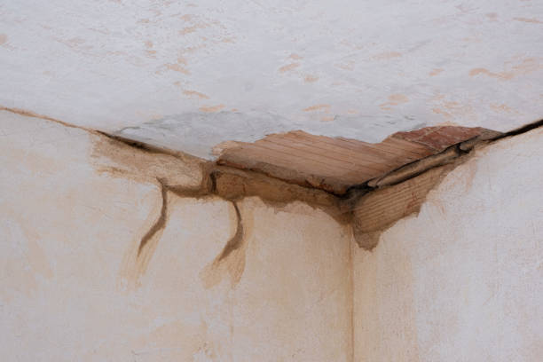 Trusted SC Water damage restoration Experts