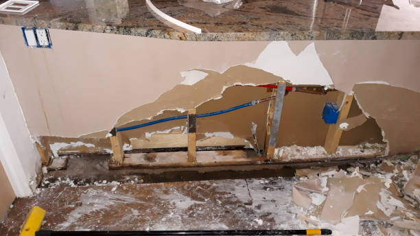 Best Sewage cleanup and water damage restoration  in Aiken, SC