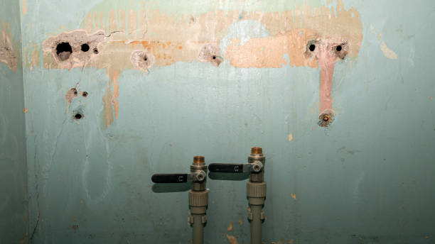 Best Commercial water damage restoration  in Aiken, SC