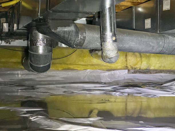 Best Flood damage cleanup  in Aiken, SC
