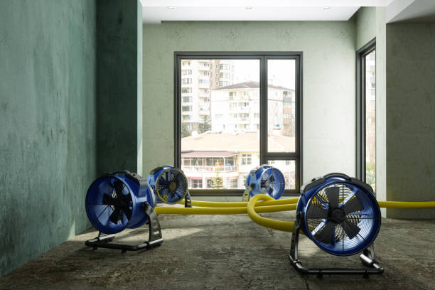 Best Water damage contractors near me  in Aiken, SC
